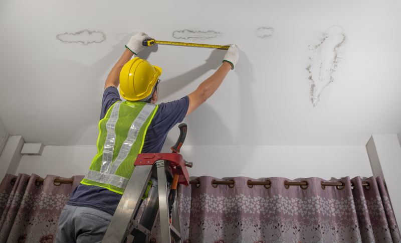 Attic Water Damage Repair in Charleston, SC