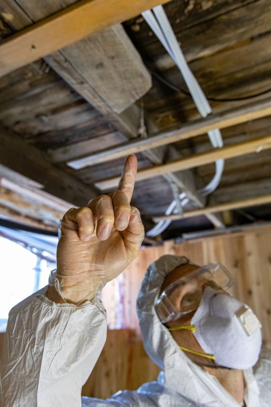 Home Inspection Experts